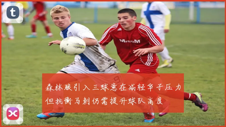 森林狼引入三球意在减轻华子压力但抗衡马刺仍需提升球队高度