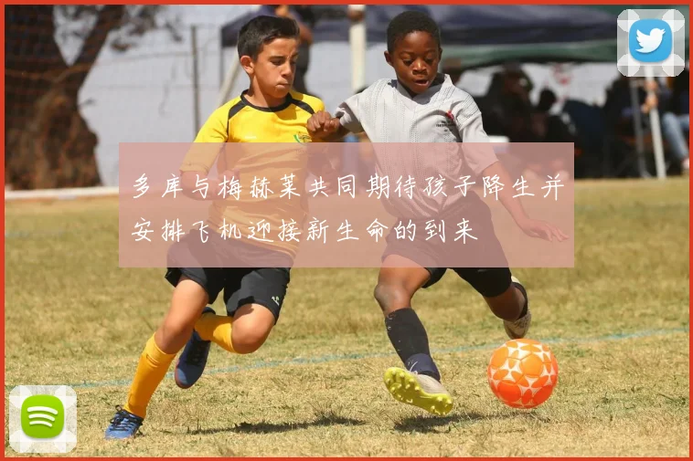多库与梅赫莱共同期待孩子降生并安排飞机迎接新生命的到来